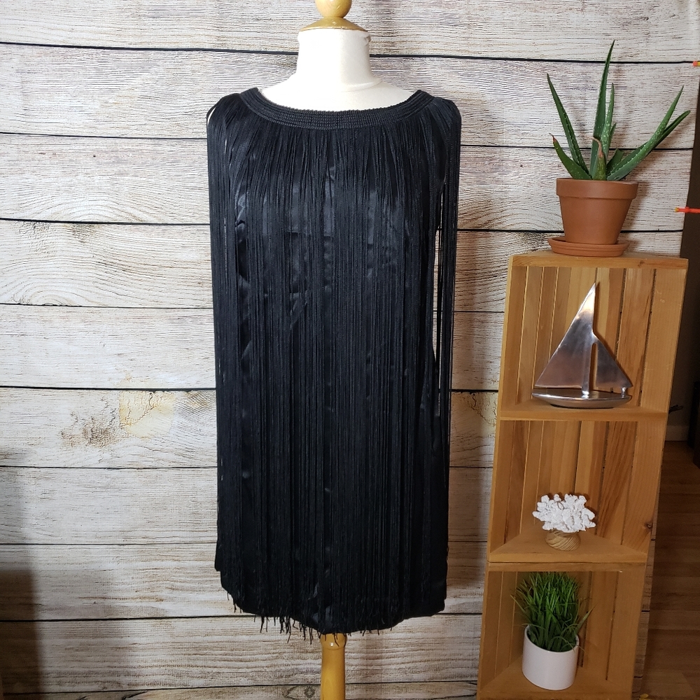 Gorgeous fringe dress size 6